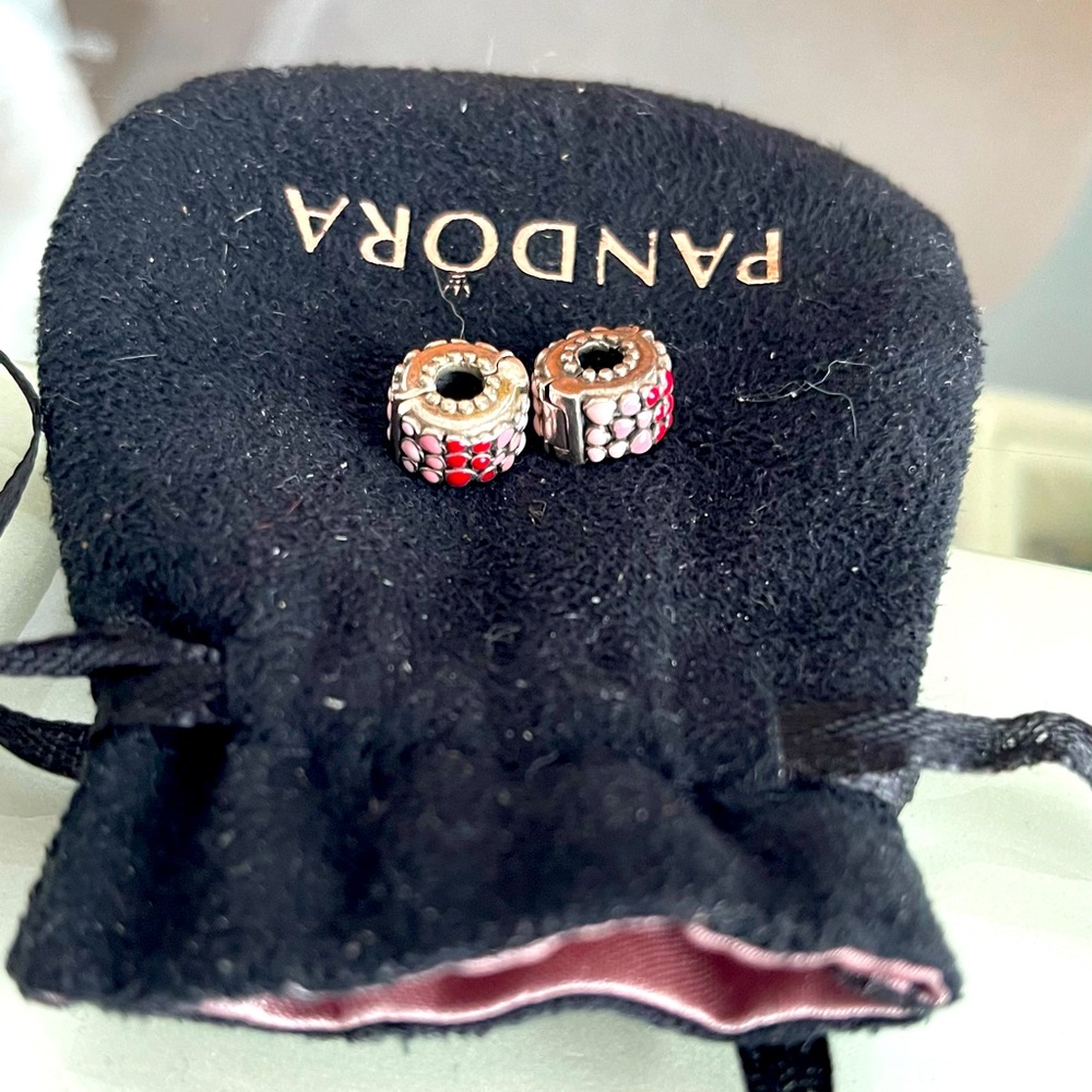 Pandora Authentic Moment clips